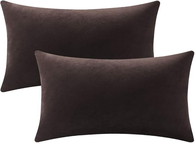 Lumbar Pillow Covers 12x20 Chocolate Brown: Pack of 2 Cozy Soft Velvet Rectangular Modern Luxury ... | Amazon (US)