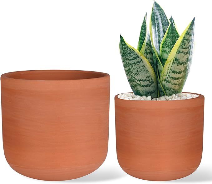 4.6 + 6 Inch Terracotta Succulent Planter Pots Round Clay Pots with Drainage for Indoor Plants Se... | Amazon (US)