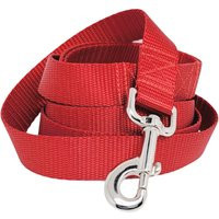 Red Nylon Dog Leash | Durable, Washable, Matching Lead Custom-Length, Handmade Present For Pet Owners Lover Gift 1 Inch Wide | Etsy (US)