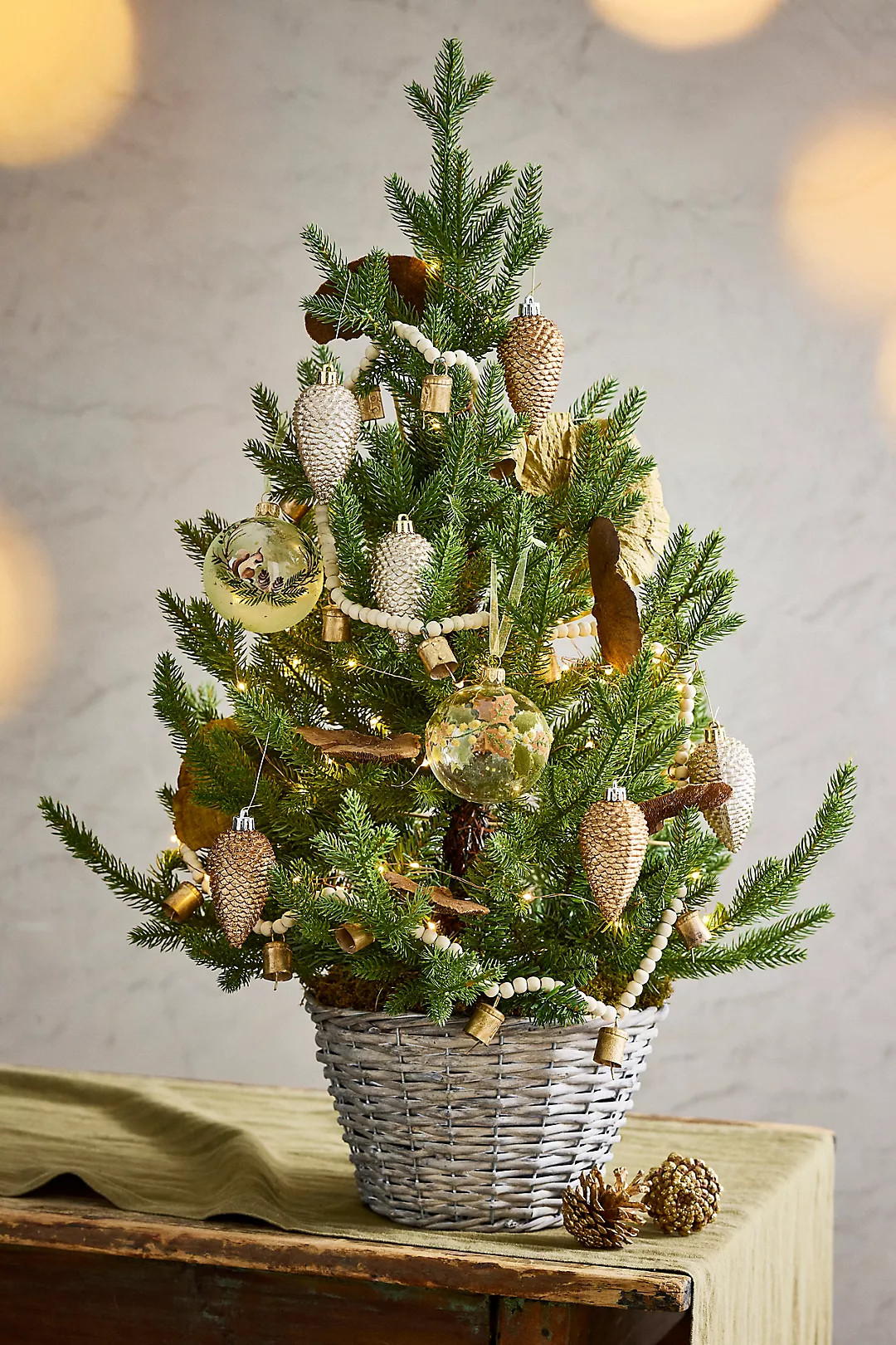 Faux Potted Norway Spruce Tree, 2.5’ | Anthropologie (US)