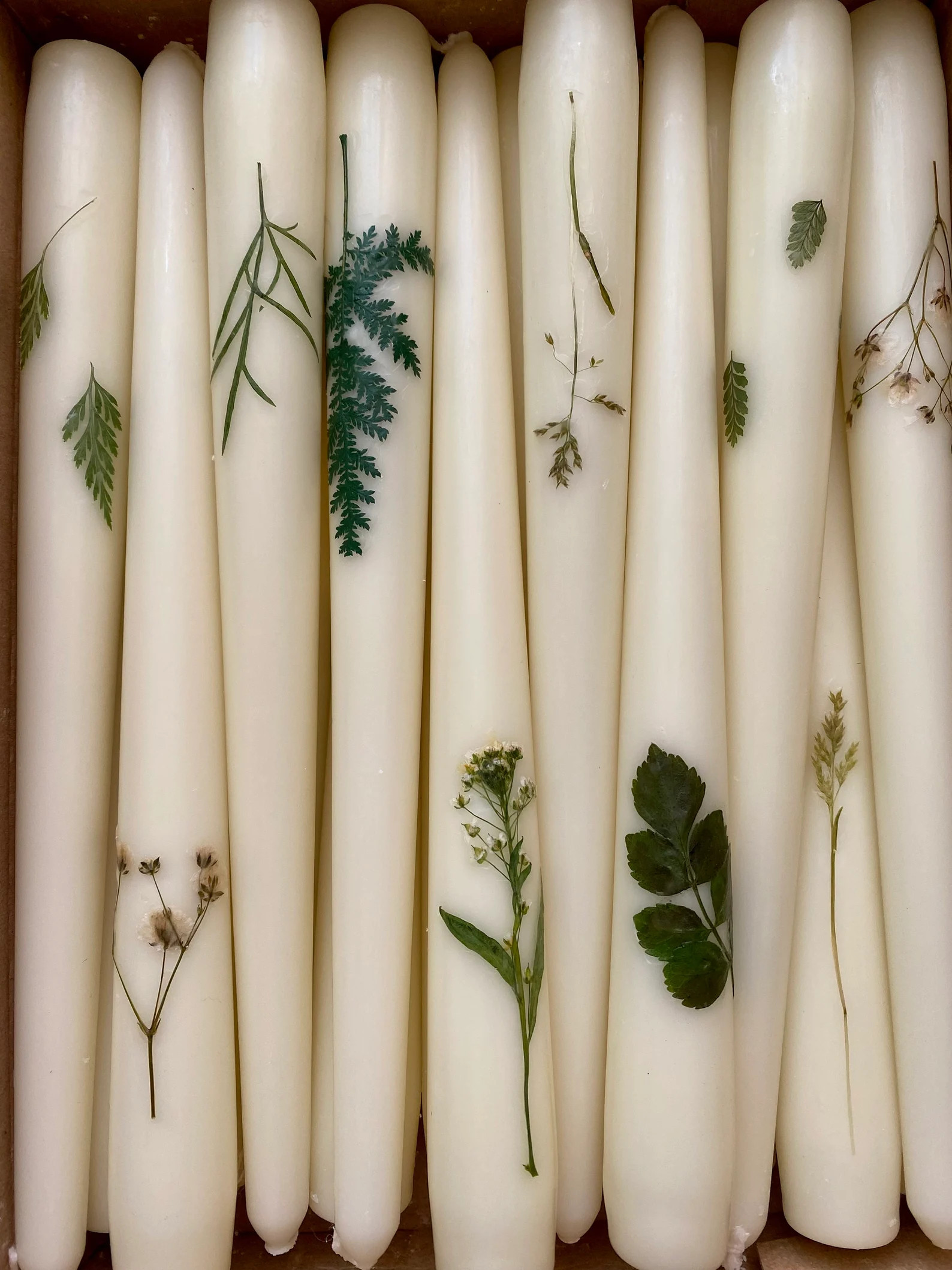 For the Plant Lover: Foliage Taper Candles Variety, Gift for Her, Real Flower Candles, Bridesmaid... | Etsy (US)