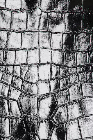 Killa Trousers in Onyx Croc | Revolve Clothing (Global)