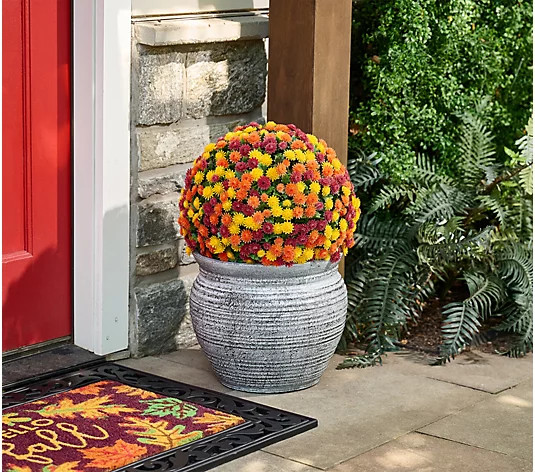 Wicker Park 16" Faux Harvest Mum Sphere | QVC