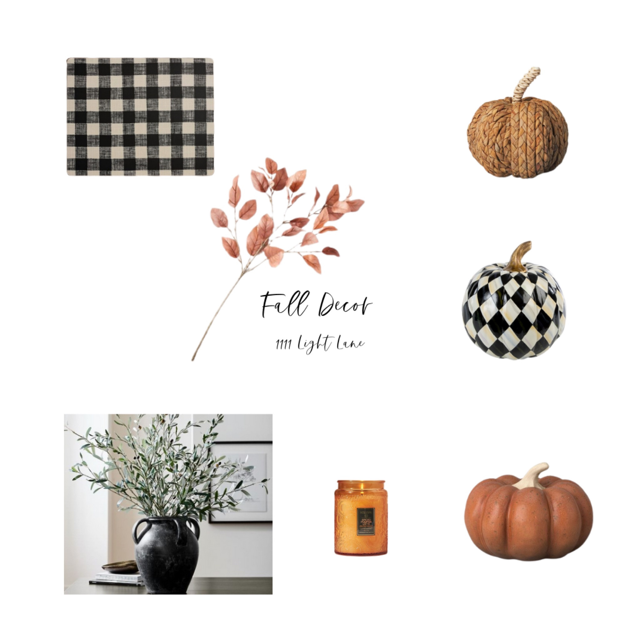 Fall Decor 
Fall branches 
Fall pumpkin 
Fall check pumpkin 

#LTKhome #LTKSeasonal