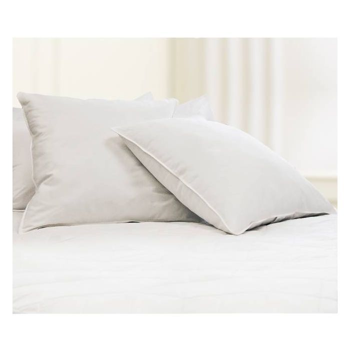 Feather Filled Euro Square Pillow White 2pk - Blue Ridge Home Fashions | Target