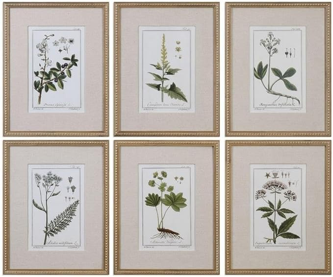 Green Floral Botanical Study - 22.63 inch Floral Print (Set of 6) - 17.63 inches wide by 1.5 inch... | Amazon (US)