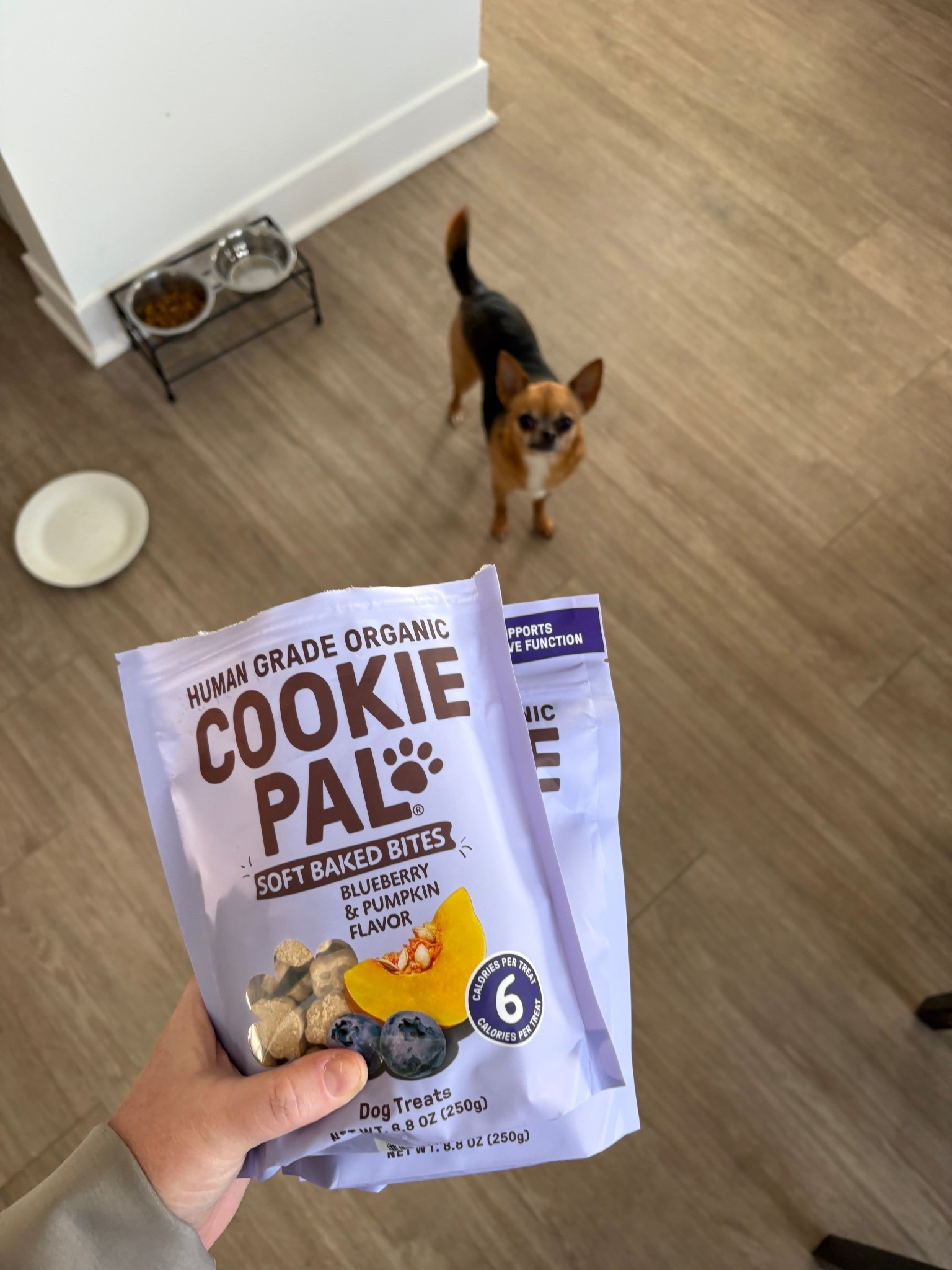 Millie’s favorite dog treats organic (she loves all the flavors), I got her pumpkin and blueberry for fall #chihuahua #dogtreats #organic  

#LTKHome #LTKBaby #LTKFindsUnder100