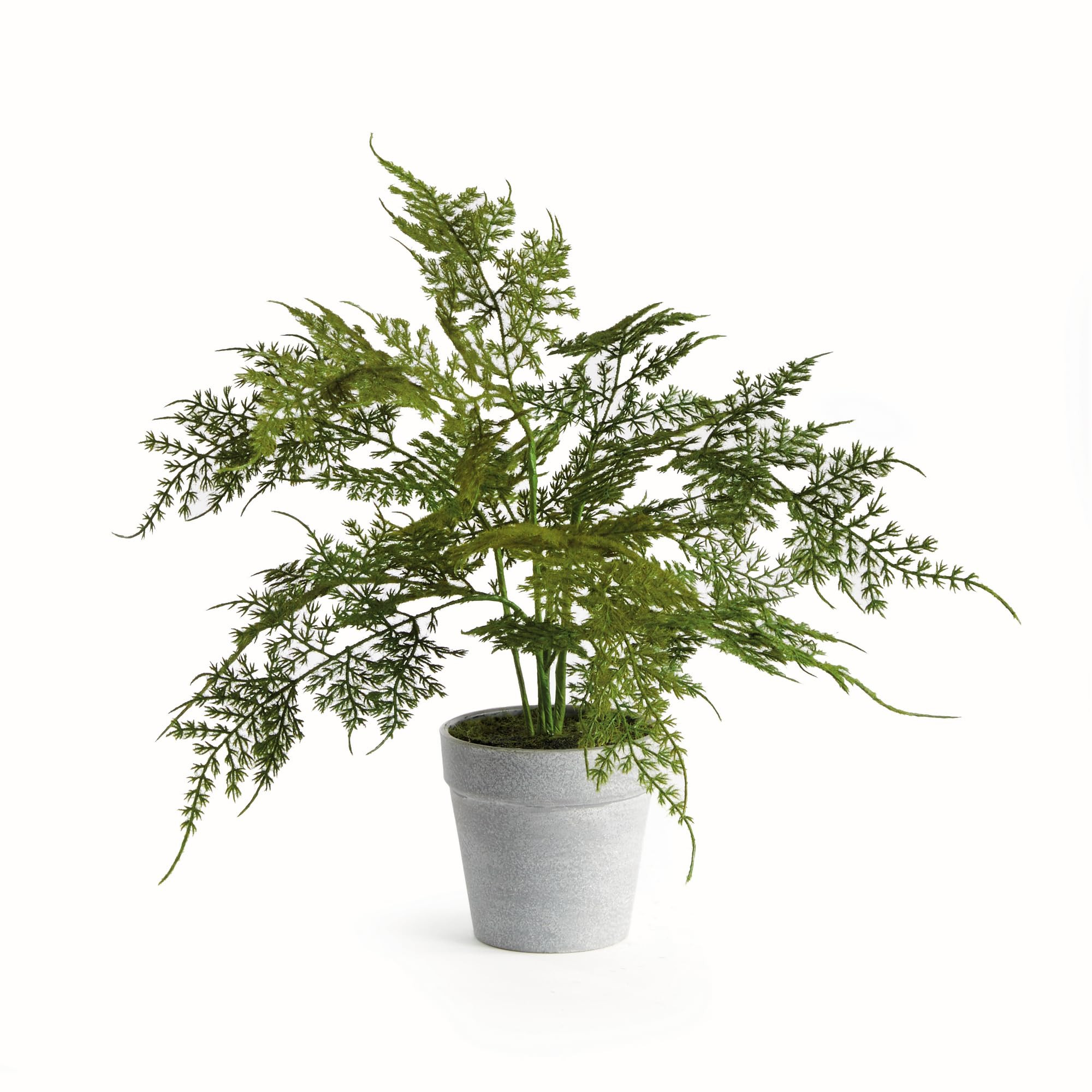 NAPA Home & Garden, PLUMOSA Fern Drop-in 13" | Amazon (US)