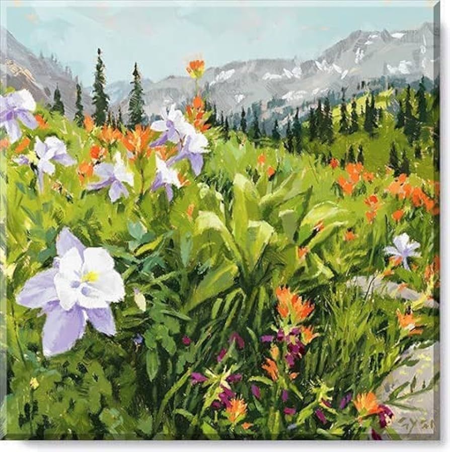 Sullivans Darren Gygi Wildflower Field Canvas, Museum Quality Giclee Print, Gallery Wrapped, Hand... | Amazon (US)