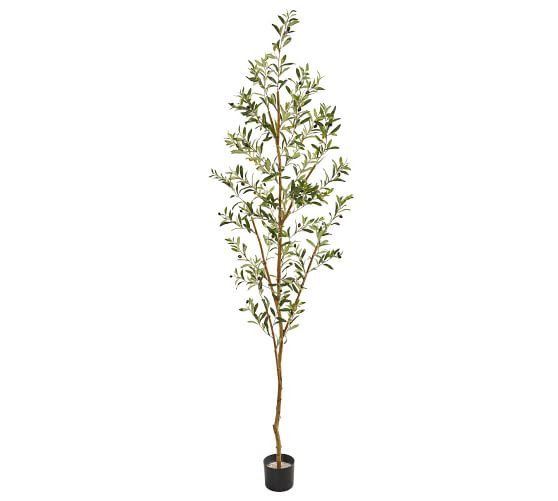 Faux Olive Tree, 6.5' | Pottery Barn (US)
