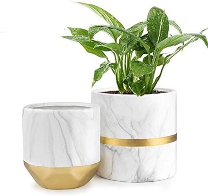 HOMENOTE White Ceramic Flower Pot Garden Planters 6/4.8 inch Pack 2 Indoor, Plant Containers with... | Amazon (US)