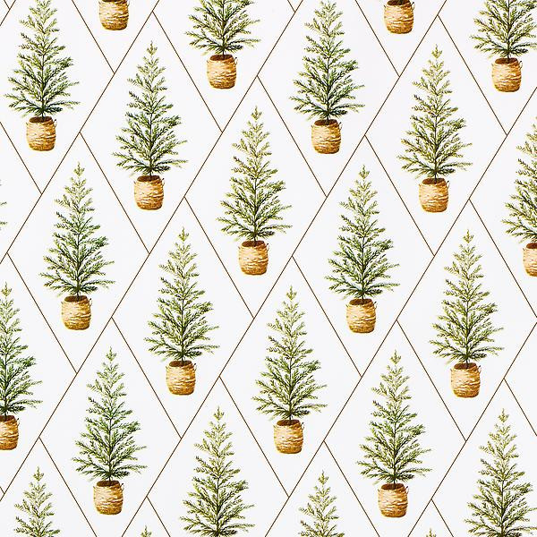 Taylor Paladino Simple Pines Wrapping Paper | The Container Store