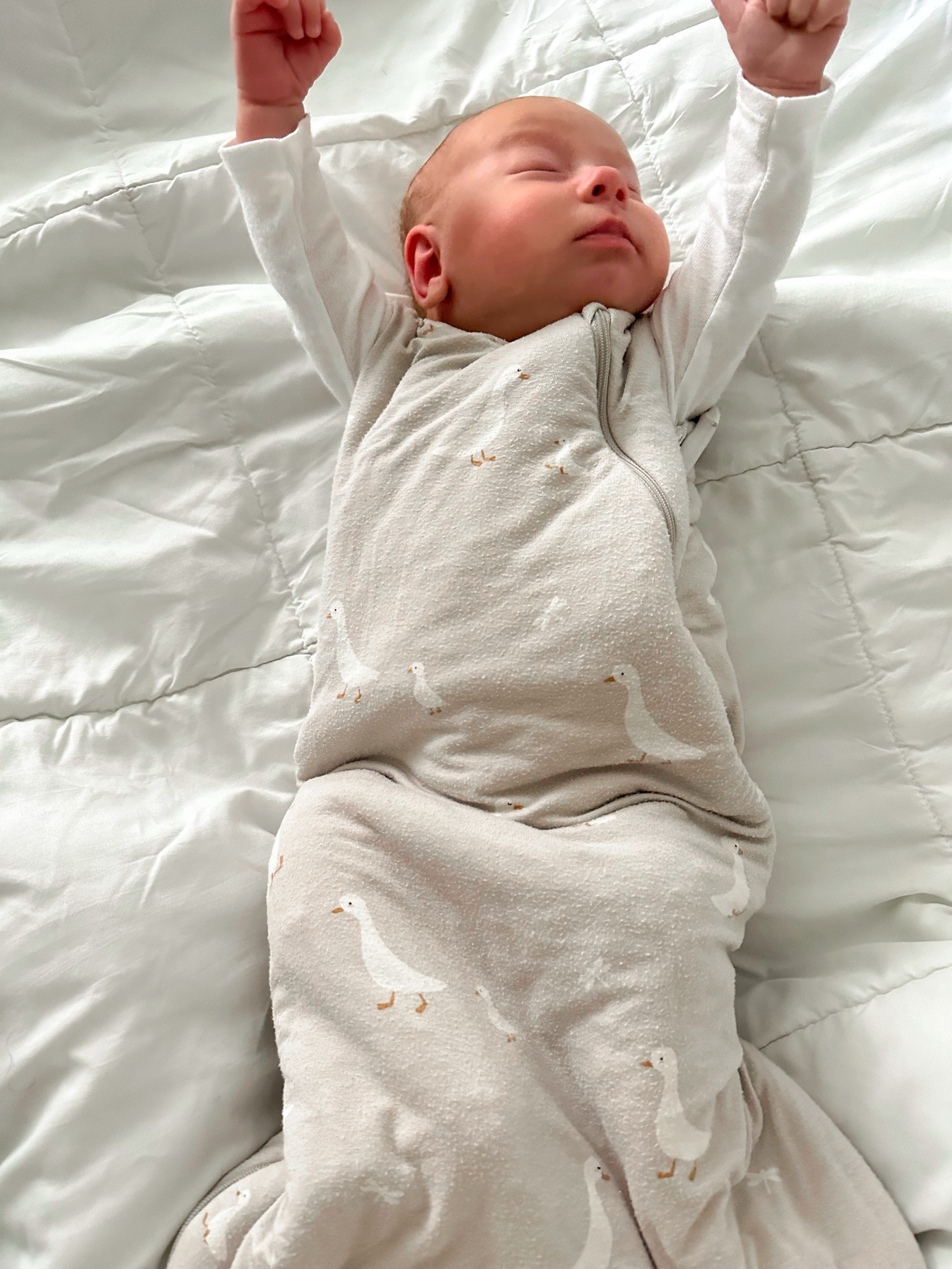 I wasn’t sure how arms out was going to go but after 9 hours of sleep I would say that he is a fan!! We LOVE our GUNAMUNA swaddle sleep sack because it is so versatile. Can swaddle with arms in or unzip the arm holes for arms out. The perfect transition option when you’re ready to try free arms! 

#LTKBaby #LTKFamily #LTKFindsUnder100