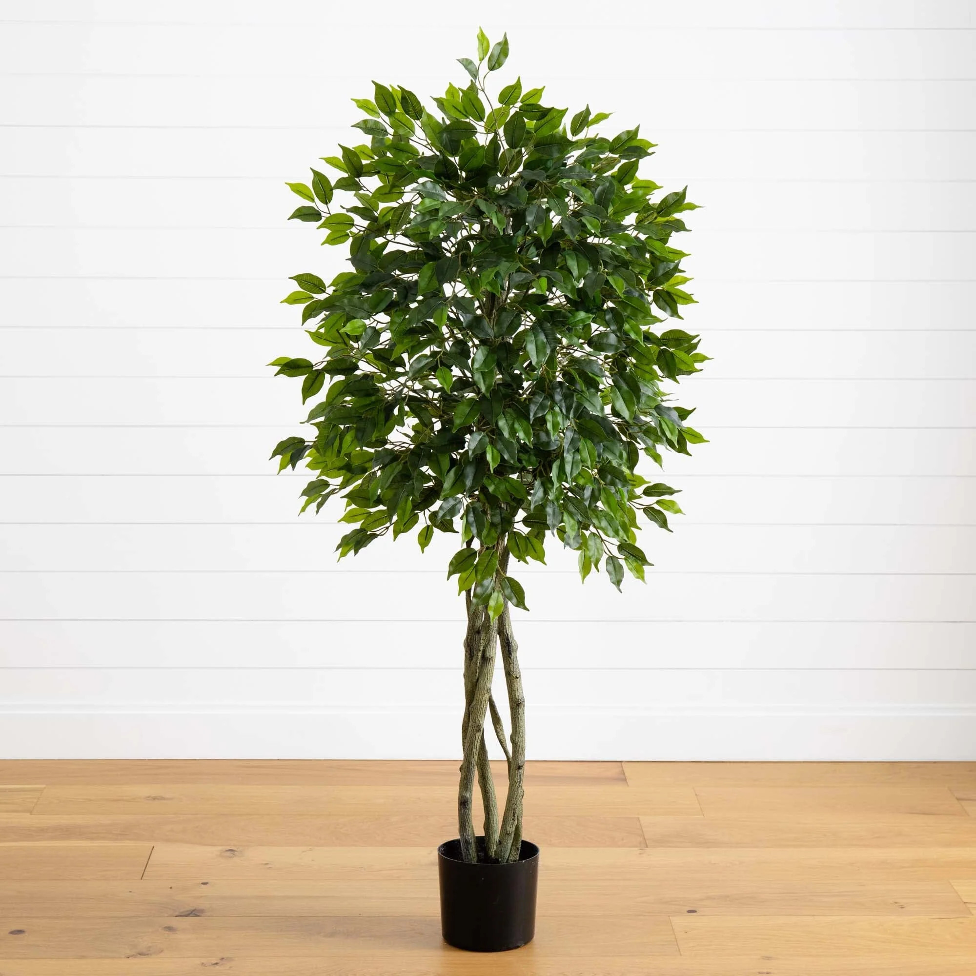 5.5' Ficus Tree UV Resistant (Indoor/Outdoor) | Nearly Natural | Nearly Natural