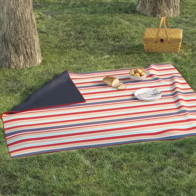 Red Stripes Outdoor Picnic Blanket | Wayfair North America
