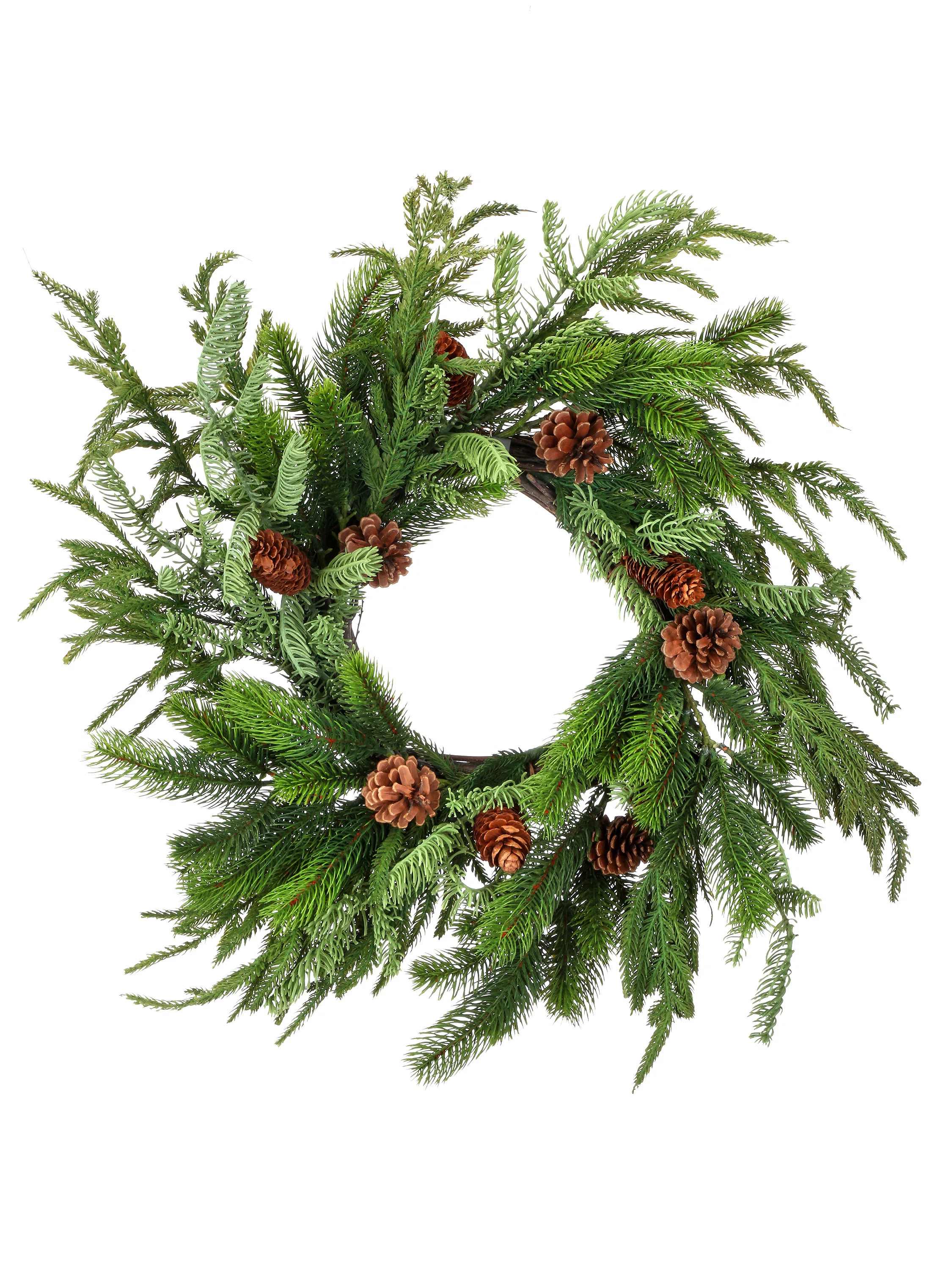20" Natural Touch Norfolk & Spruce Wreath | Wayfair North America