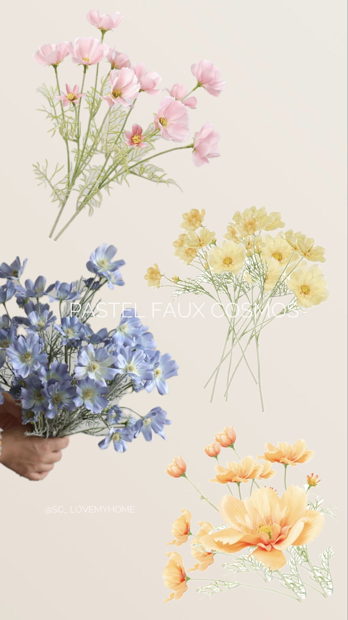 Pastel Faux Cosmos 💙🧡💛🩷