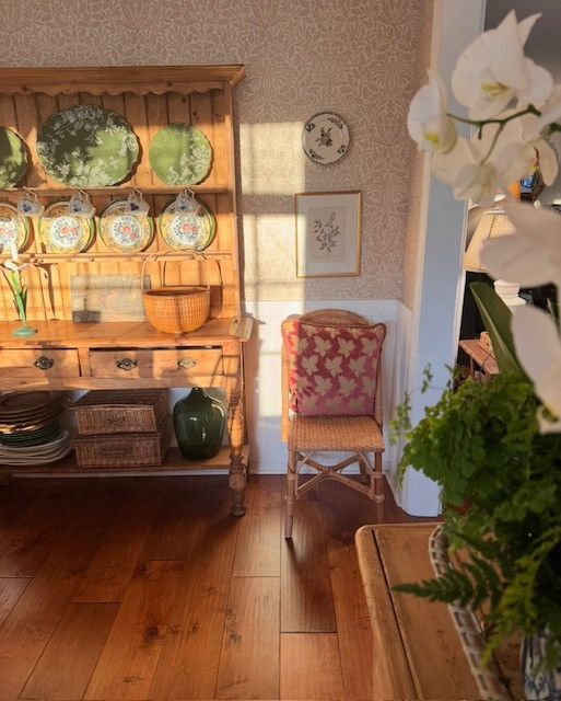 Ribbons of sunlight on this spring morning. 

 #LTKSeasonal #LTKHome