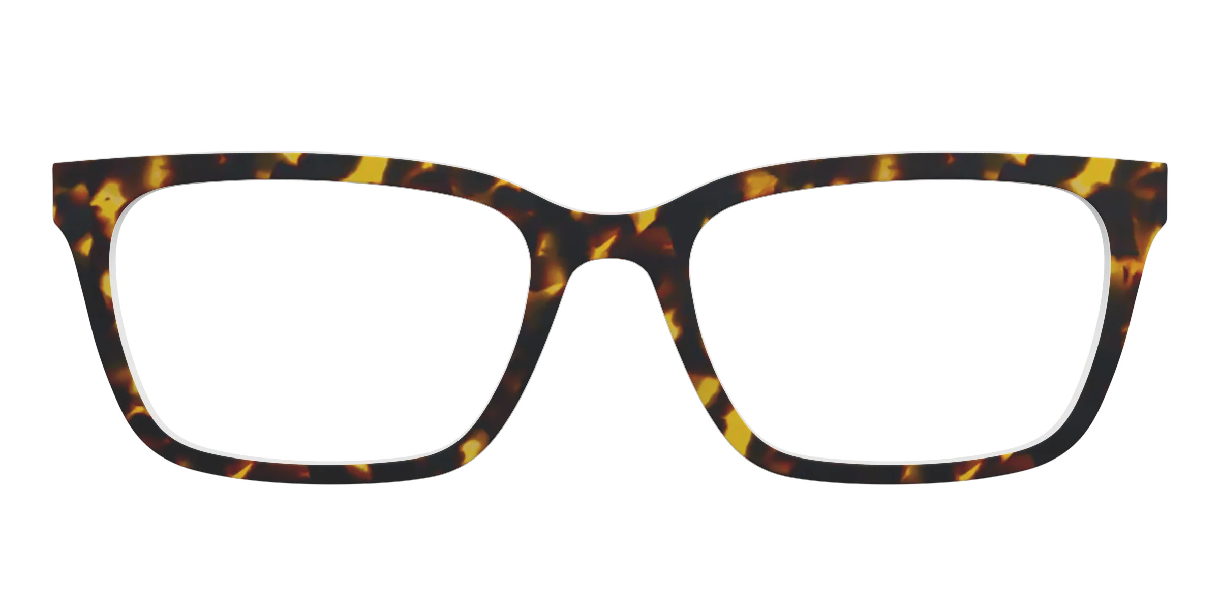 The Tortoise | Pair Eyewear