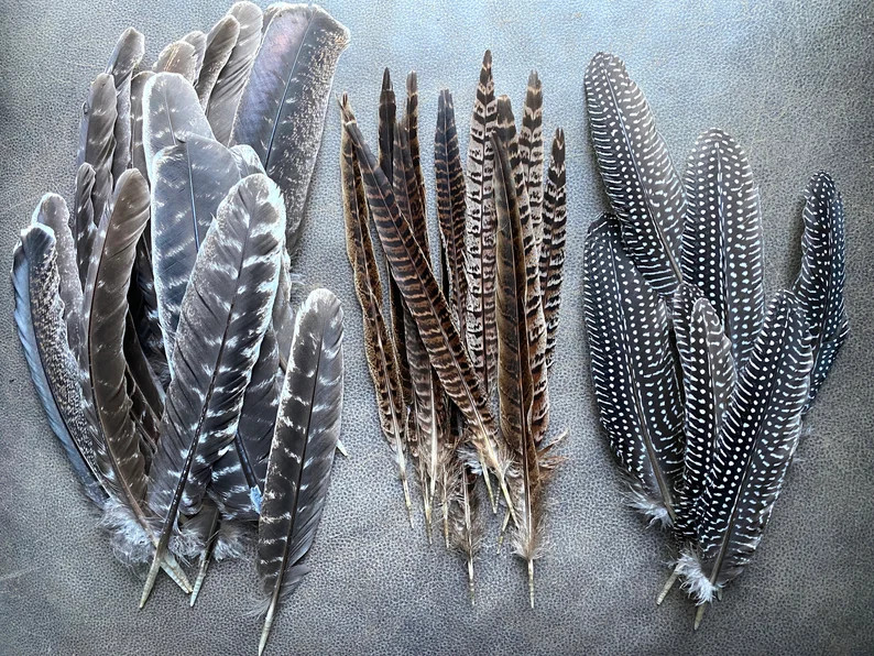Natural Turkey, Pheasant & Guinea Fowl Feathers: Boho Holiday Decor, Hats, Dreamcatchers | Etsy (Global)