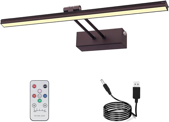 FUNCHDAY Picture Light,Battery Art Lights for Wall,Wireless Remote Painting Light with Timer and ... | Amazon (US)