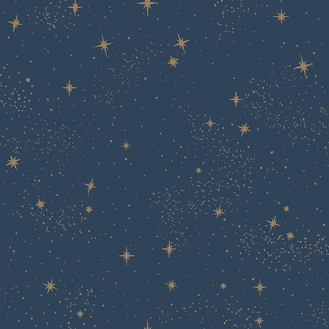 RoomMates RMK11319WP Upon A Star Navy and Metallic Peel and Stick Wallpaper | Amazon (US)