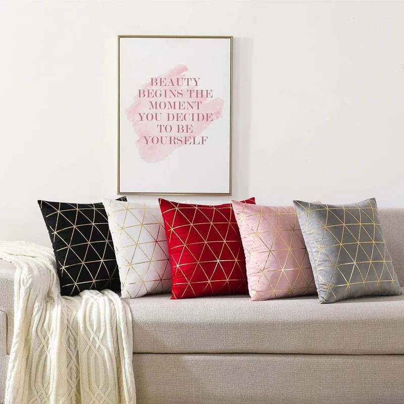 Geometric Velvet Pillow Cover (Set of 2) | Wayfair North America