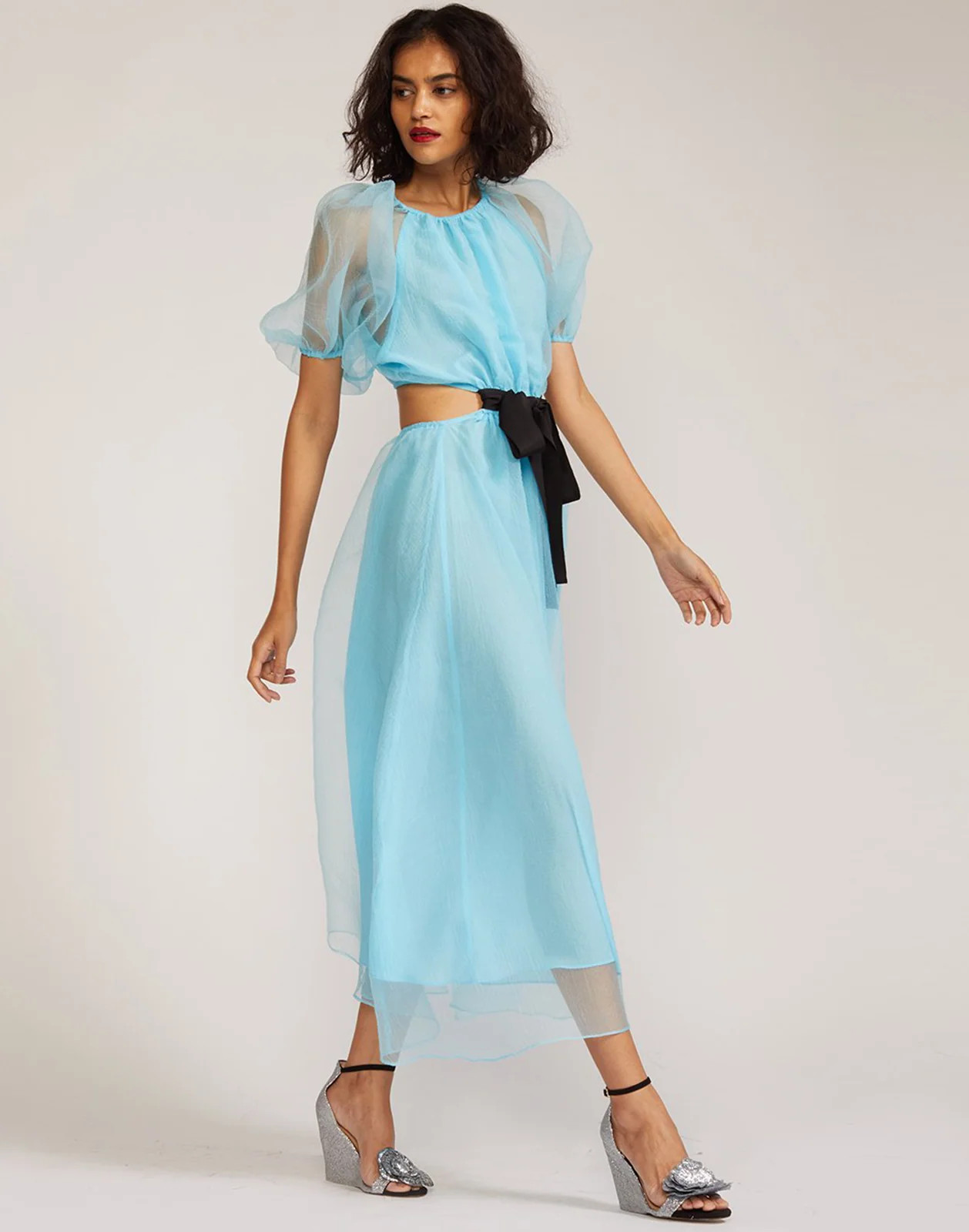 Clara Organza Dress | Cynthia Rowley