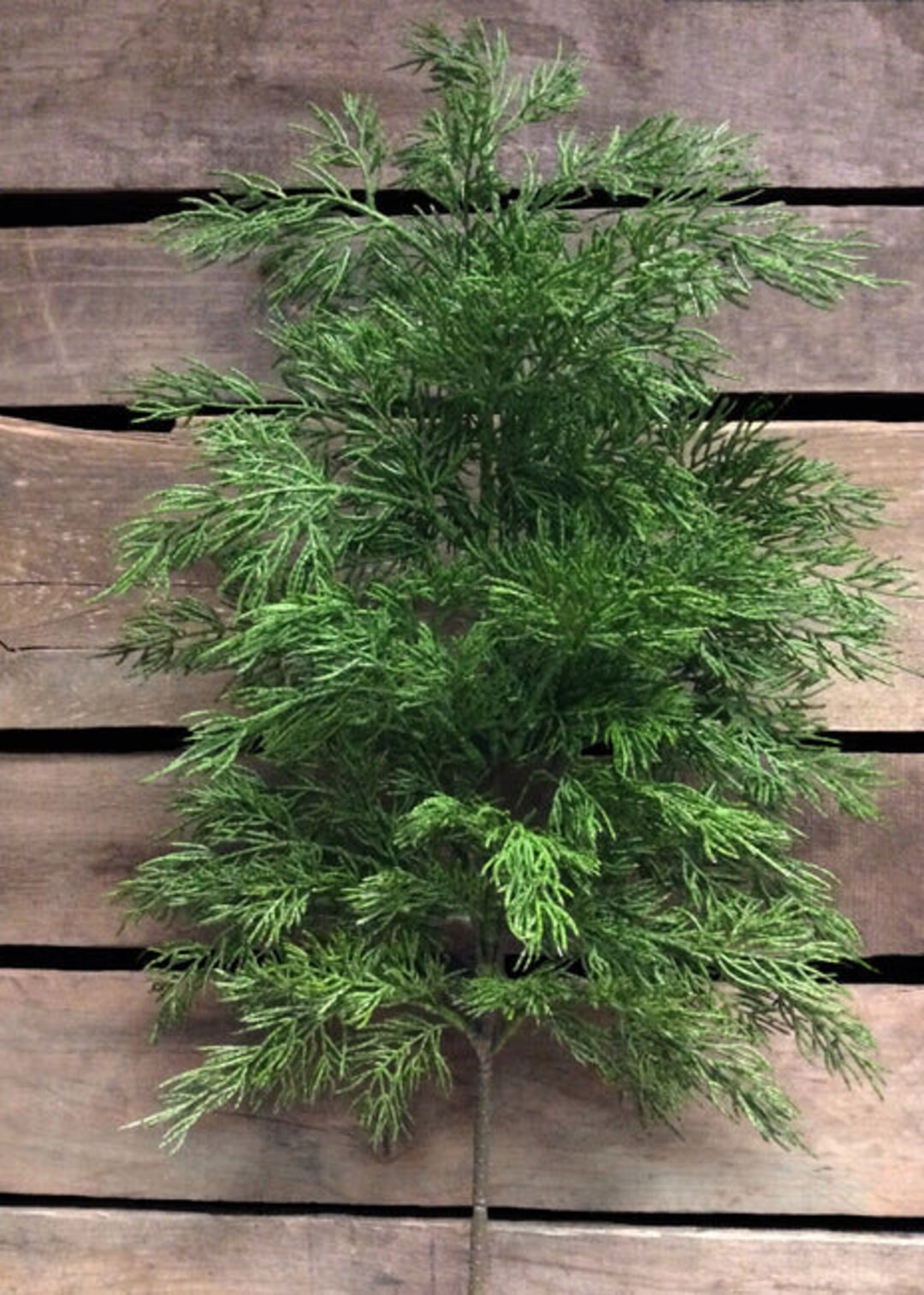 26 Fresh Touch Cedar Spray/faux - Etsy | Etsy (US)