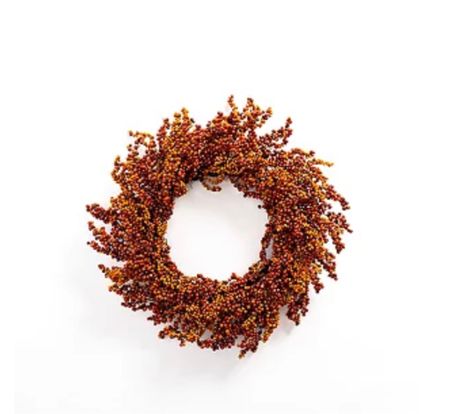 50% off this FALL berry wreath. Run. 

Fall home decor / fall wreath / wreath sale / seasonal decor 



#LTKhome #LTKSeasonal #LTKsalealert