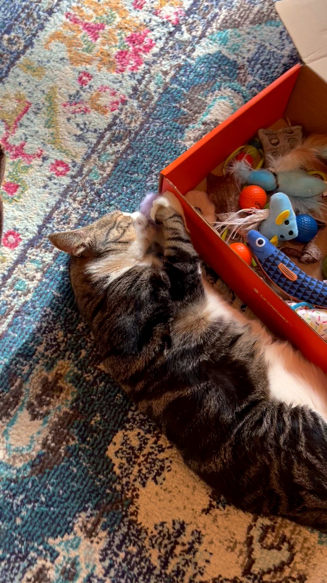 My cats are LOVING these felted catnip ball cat toys from Amazon! I bought them on a whim and they’re a huge hit!

#LTKHome #LTKFamily #LTKPets