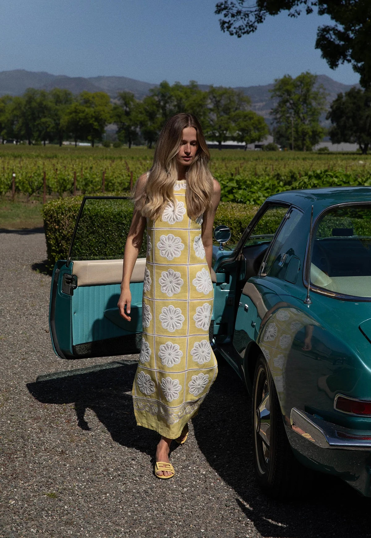 Dandelion Ava Maxi Dress | Over The Moon
