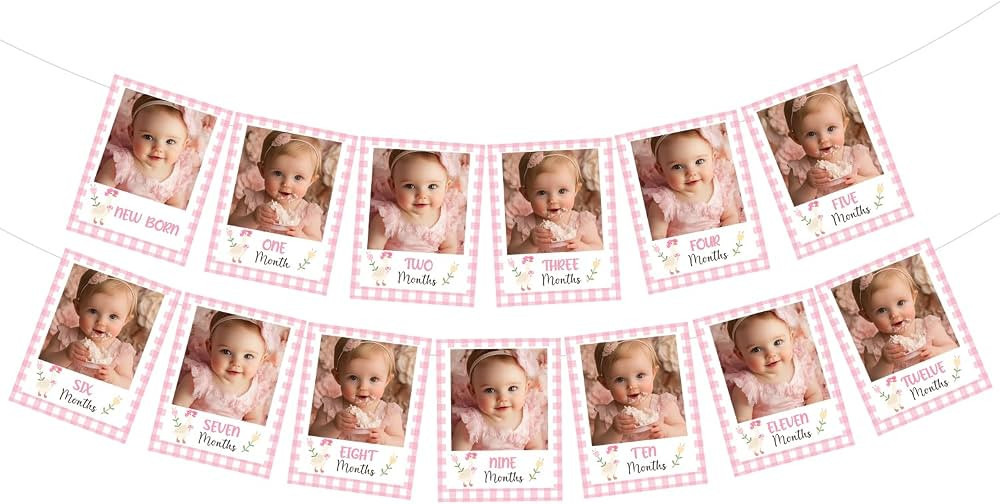 Goose Themed Birthday Party Decoration Pink One Silly Goose 1st Birthday Monthly Photo Banner fro... | Amazon (US)
