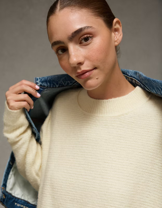 AE Whoa So Soft Crew Neck Sweater | American Eagle Outfitters (US & CA)