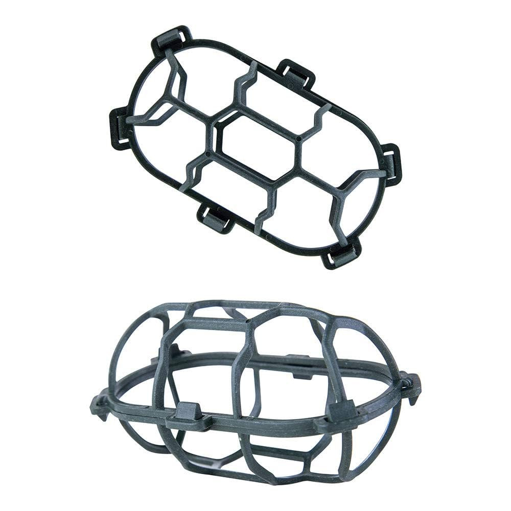 FloristryWarehouse Holly Chapple Bouquet Egg Cage 4 Inches (Pack of 2) | Amazon (US)