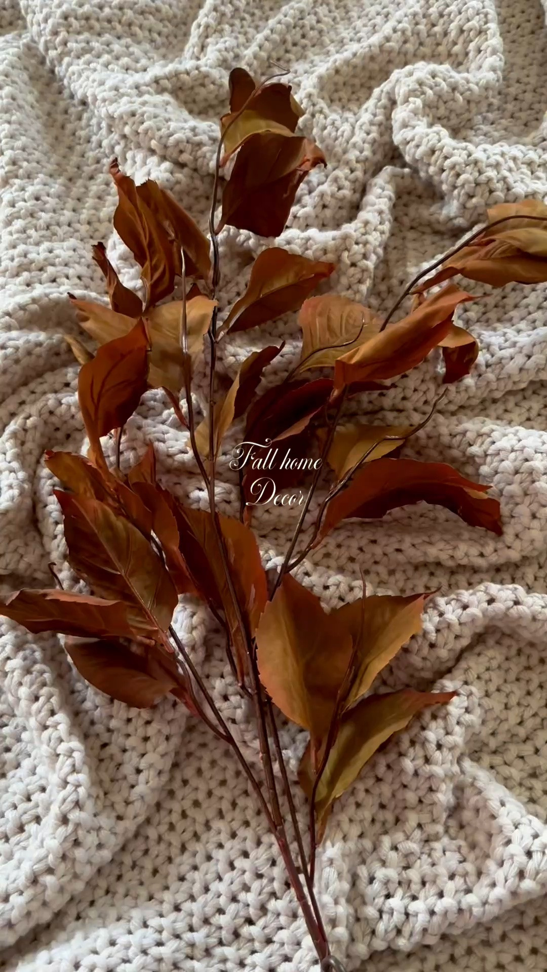 Sharing some recent fall purchases,🍂
#fall #falldecor

#LTKSeasonal #LTKHome