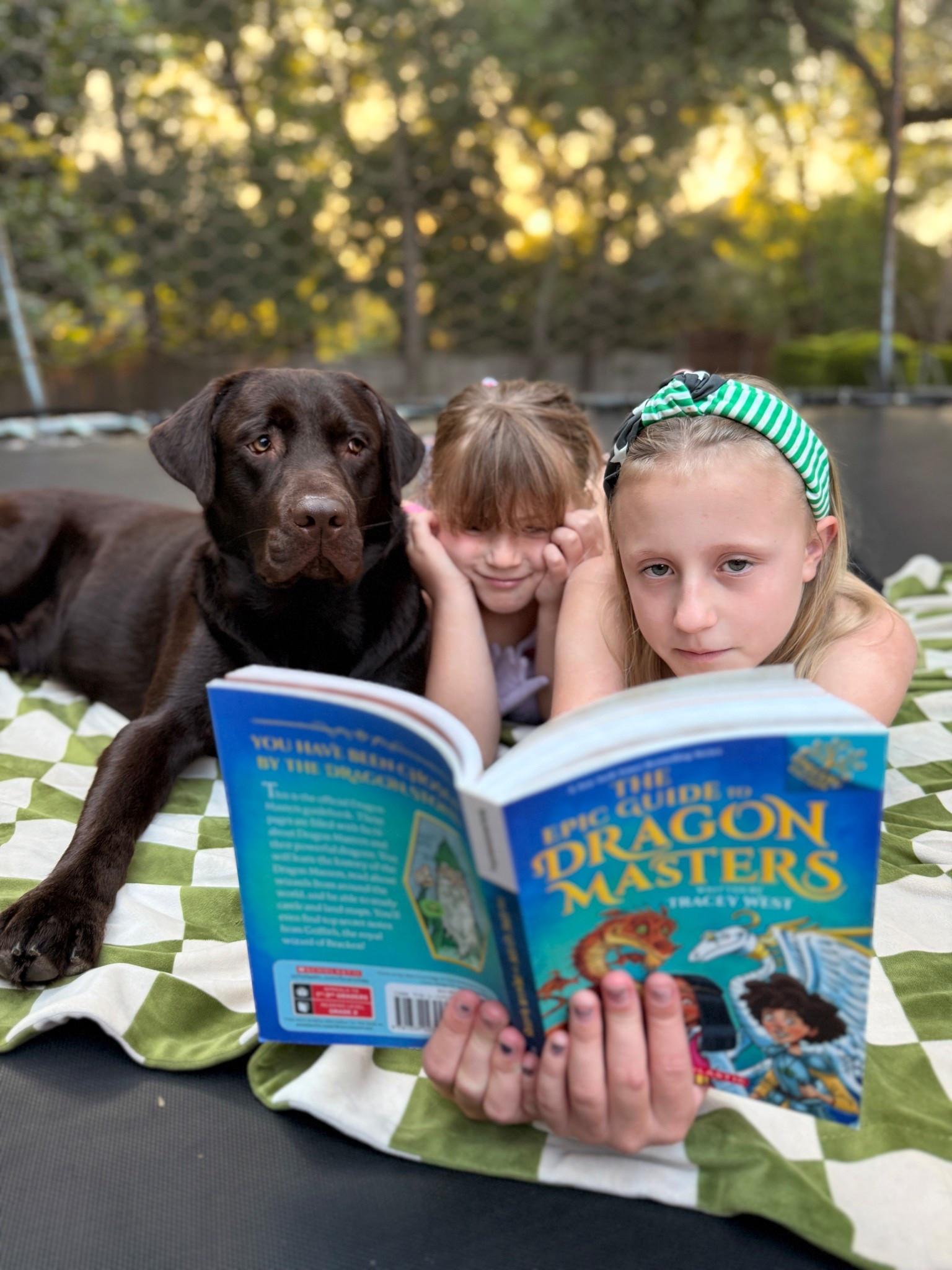 Summer reading is exciting when a book takes your kiddo to another world! The Dragon Masters series does just that. Finally a series you're okay with them binging this summer! 🐉 #reading #kidsbooks 

#LTKKids #LTKFamily #LTKSummerEdit