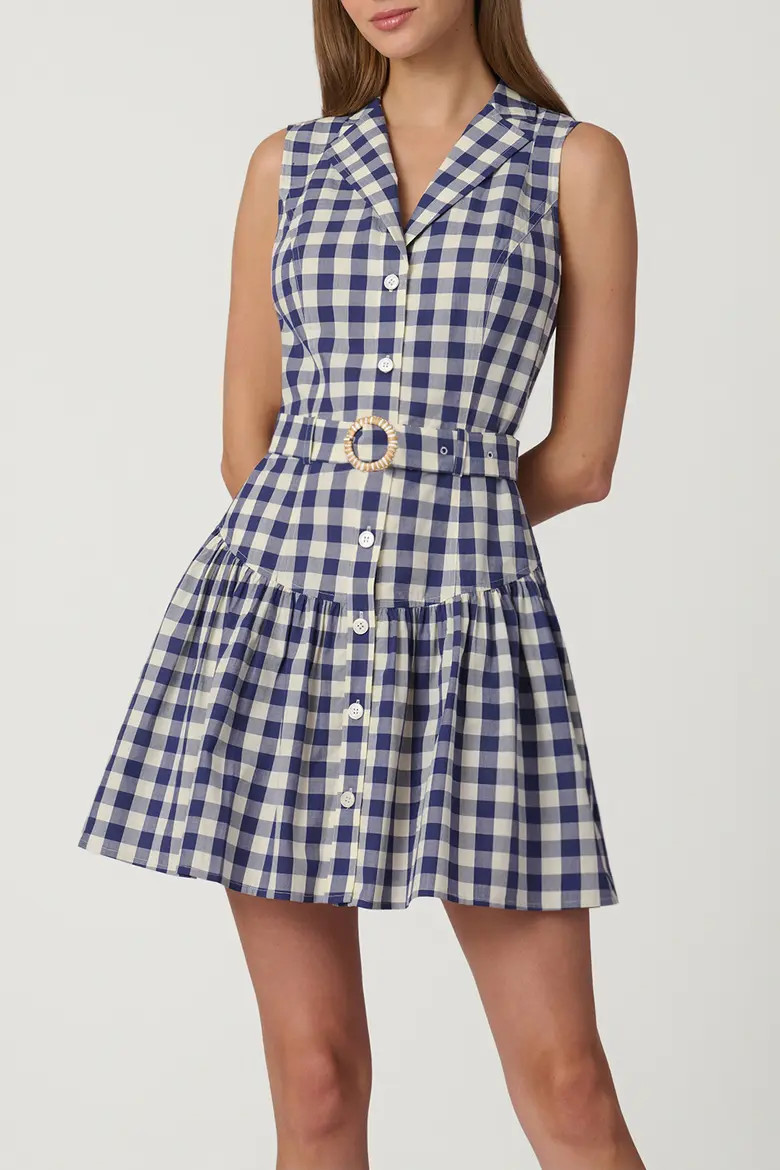 Gingham Natalia Dress (Women) | Nordstrom | Nordstrom
