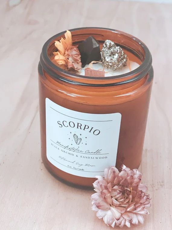 Scorpio Manifestation Candle / 9oz Soy Candle with Crystals and Herbs / Zodiac Manifestation Cand... | Etsy (US)