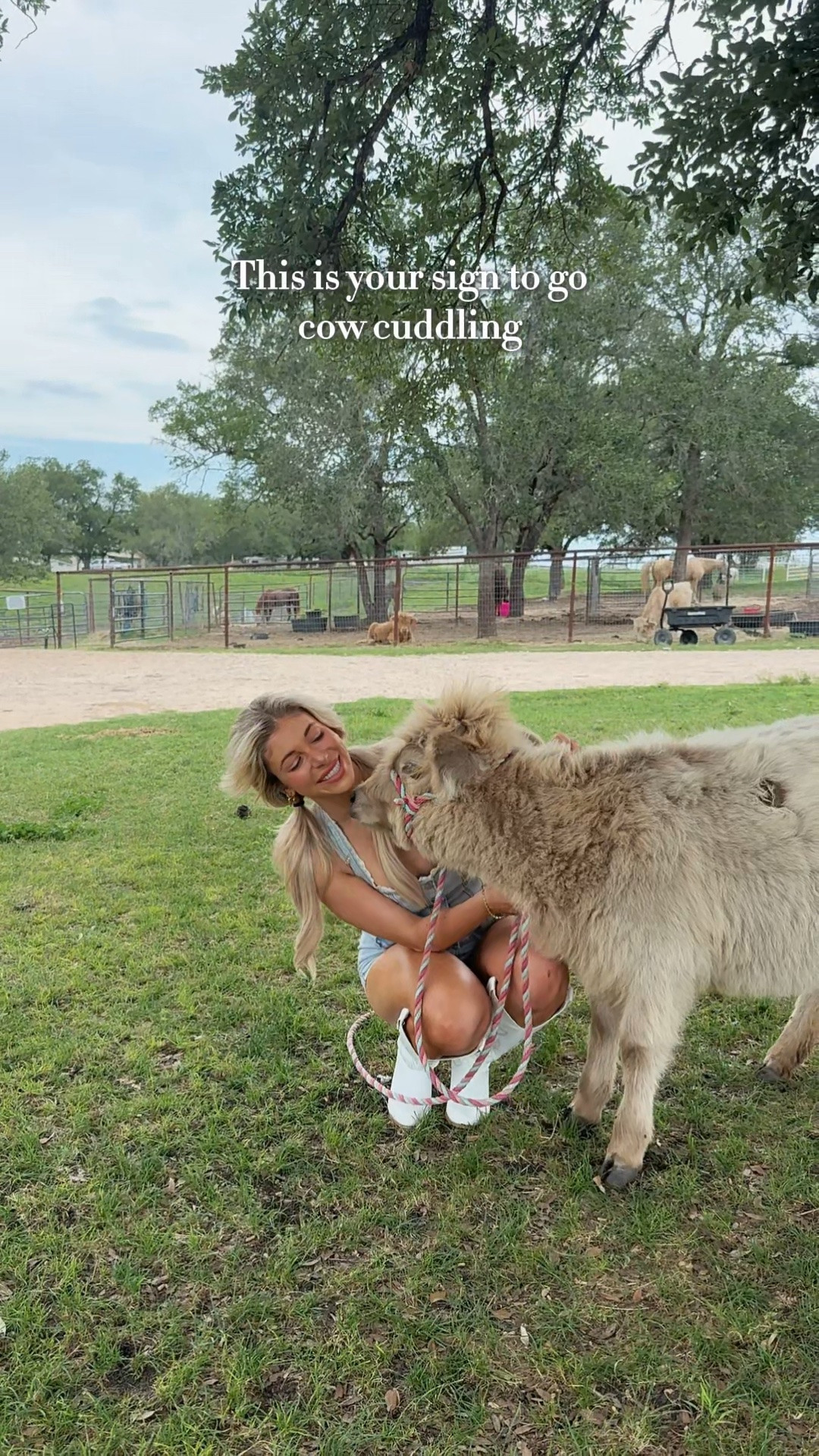new love language unlocked 🐮🤍 @Oh Polly

#LTKootd #LTKdayinmylife #LTKvlog