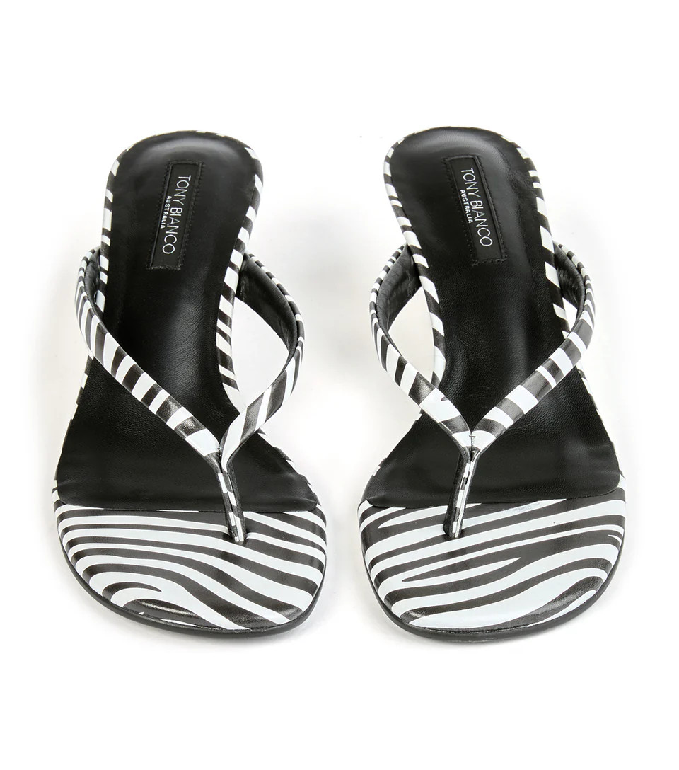 Edgy Zebra | Tony Bianco US