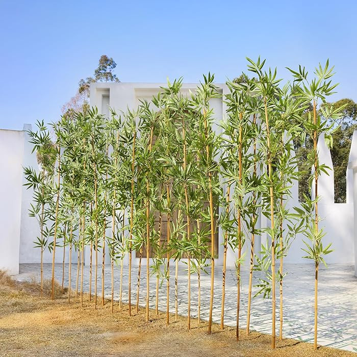 Artificial Bamboo Plant 6Ft Privacy Fence Screen - Real Bamboo Poles & UV-Resistant Faux Leaves f... | Amazon (US)