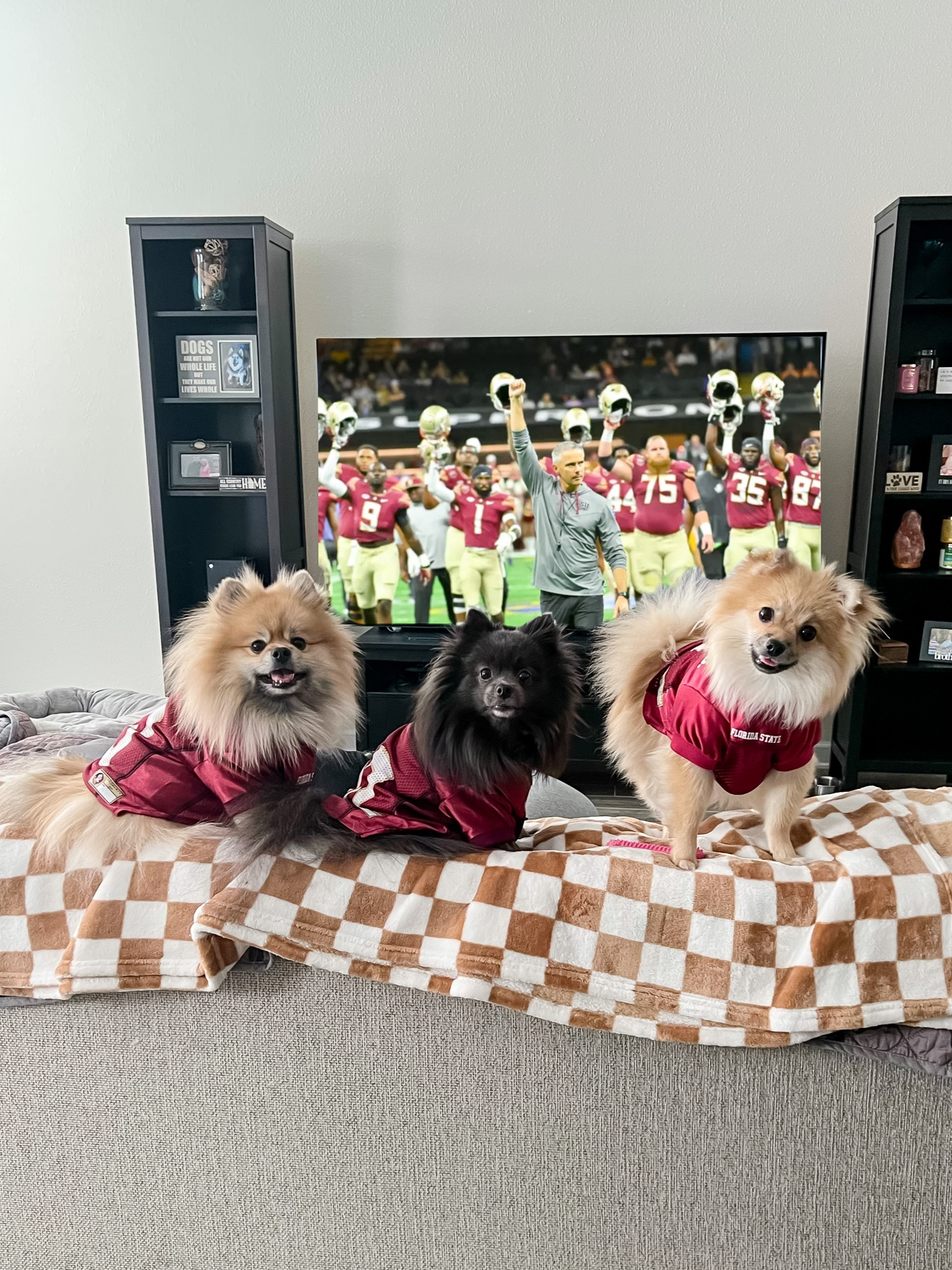 FSU College Game Day Pet Jerseys !

#petfinds #fsugameday

#LTKSeasonal