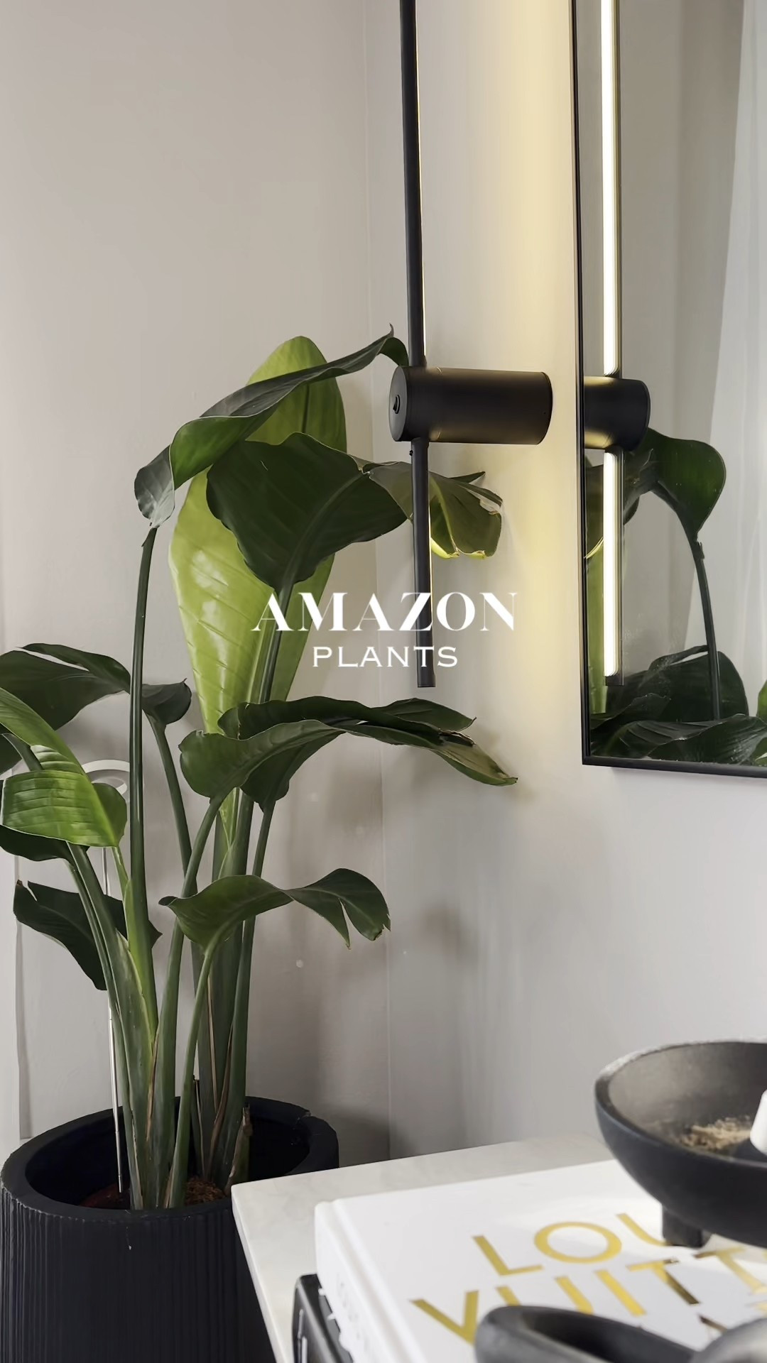 Amazon Plants: both real and faux! 

#LTKStyleTip #LTKHome #LTKSaleAlert