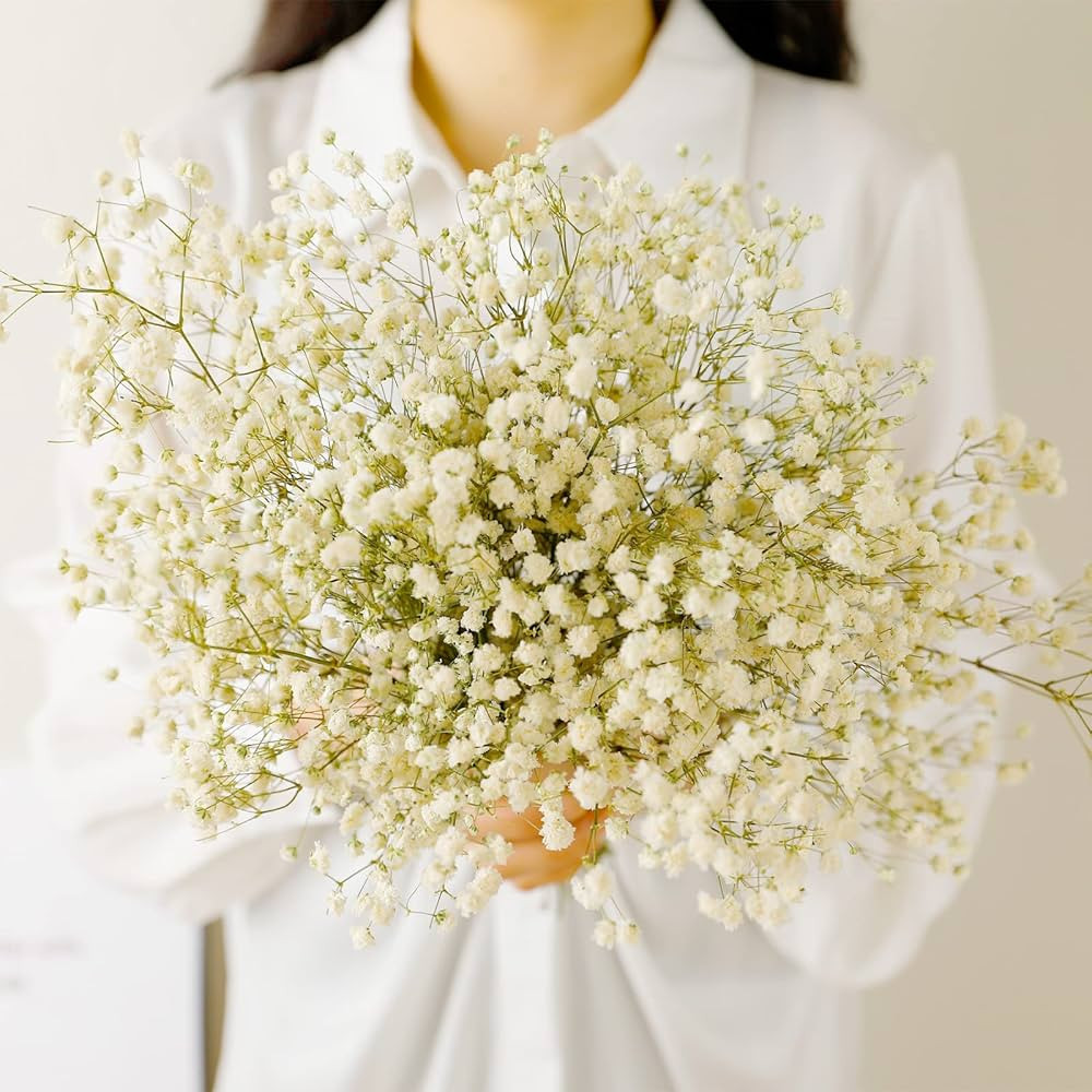 MIHUAGE Dried Flowers Bundles,Ilos 100% Natural White Baby’s Breath Bundles Gypsophila for Wedd... | Amazon (US)