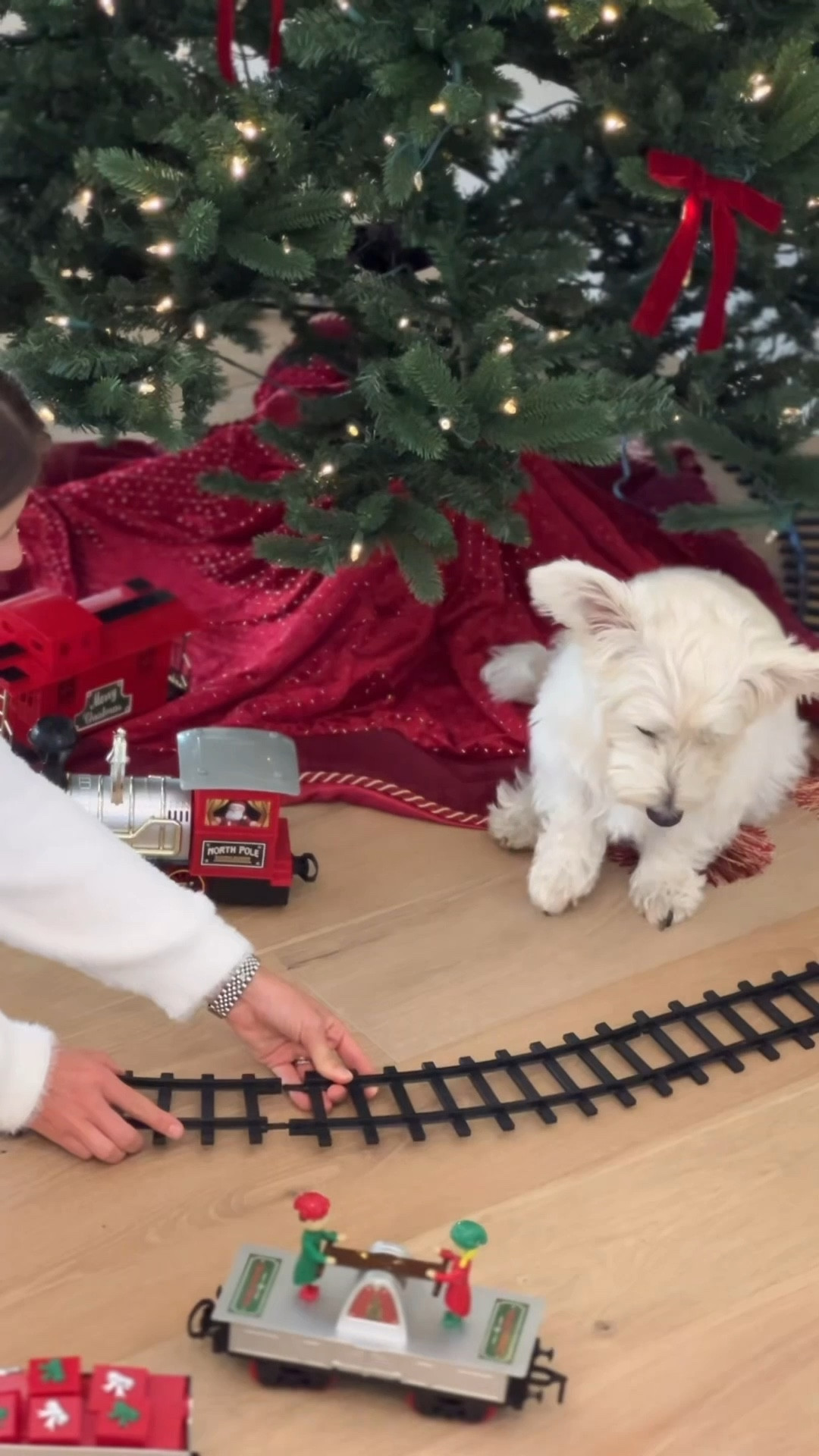 Getting house ready for Holidays 🎄❄️🧸

#home #holidays #christmas #holiday

#LTKFamily #LTKHome #LTKHoliday