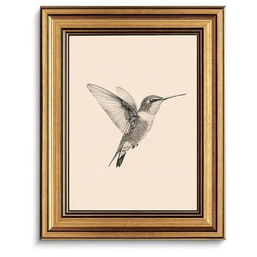 Vintage Gold Framed Canvas Wall Art, Hummingbird Prints Decor, 8x10Inch | Amazon (US)