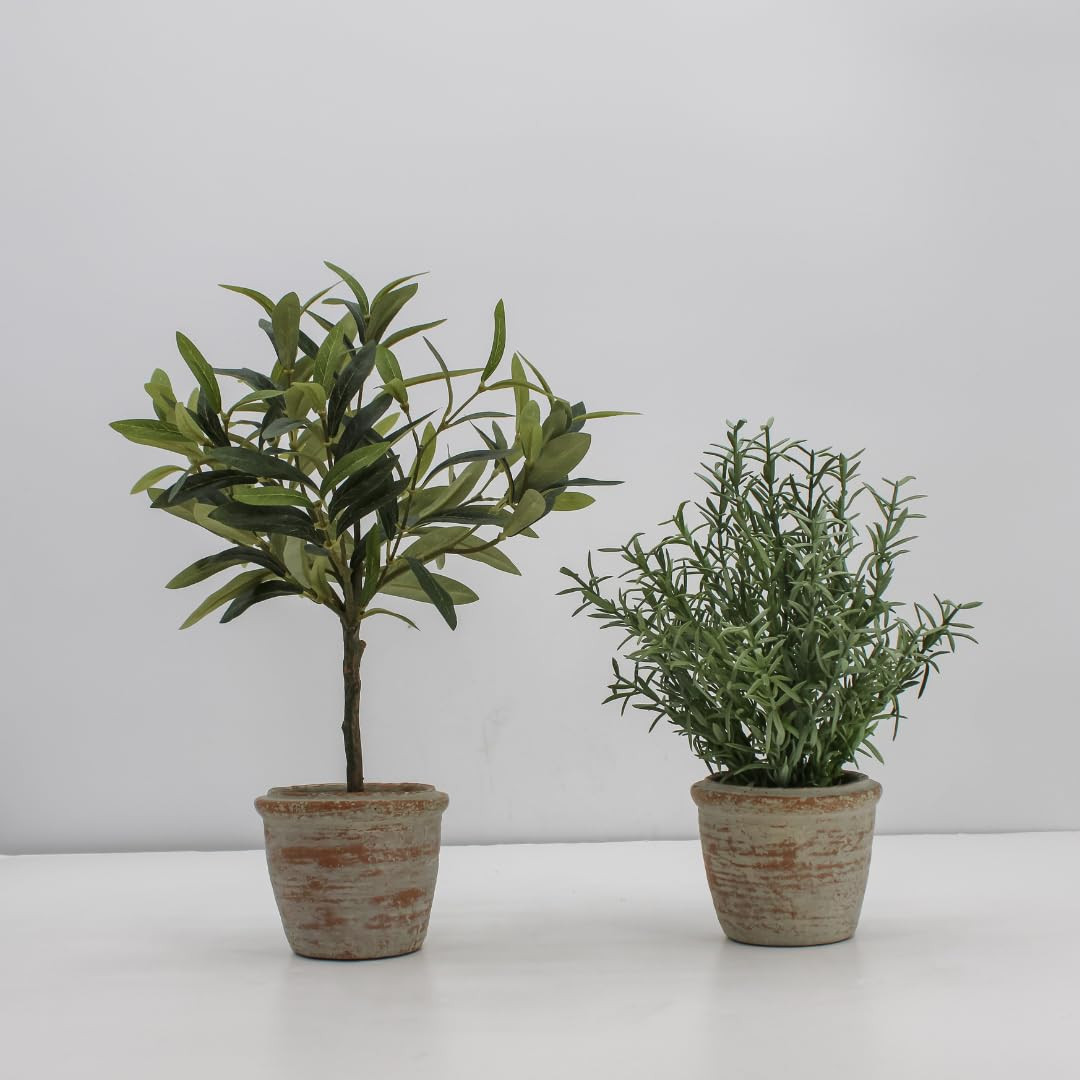 Faux Rosemary Plant & Olive Topiary, Set-of-2 Premium Artificial Indoor Plants, Enhances Interior... | Amazon (US)