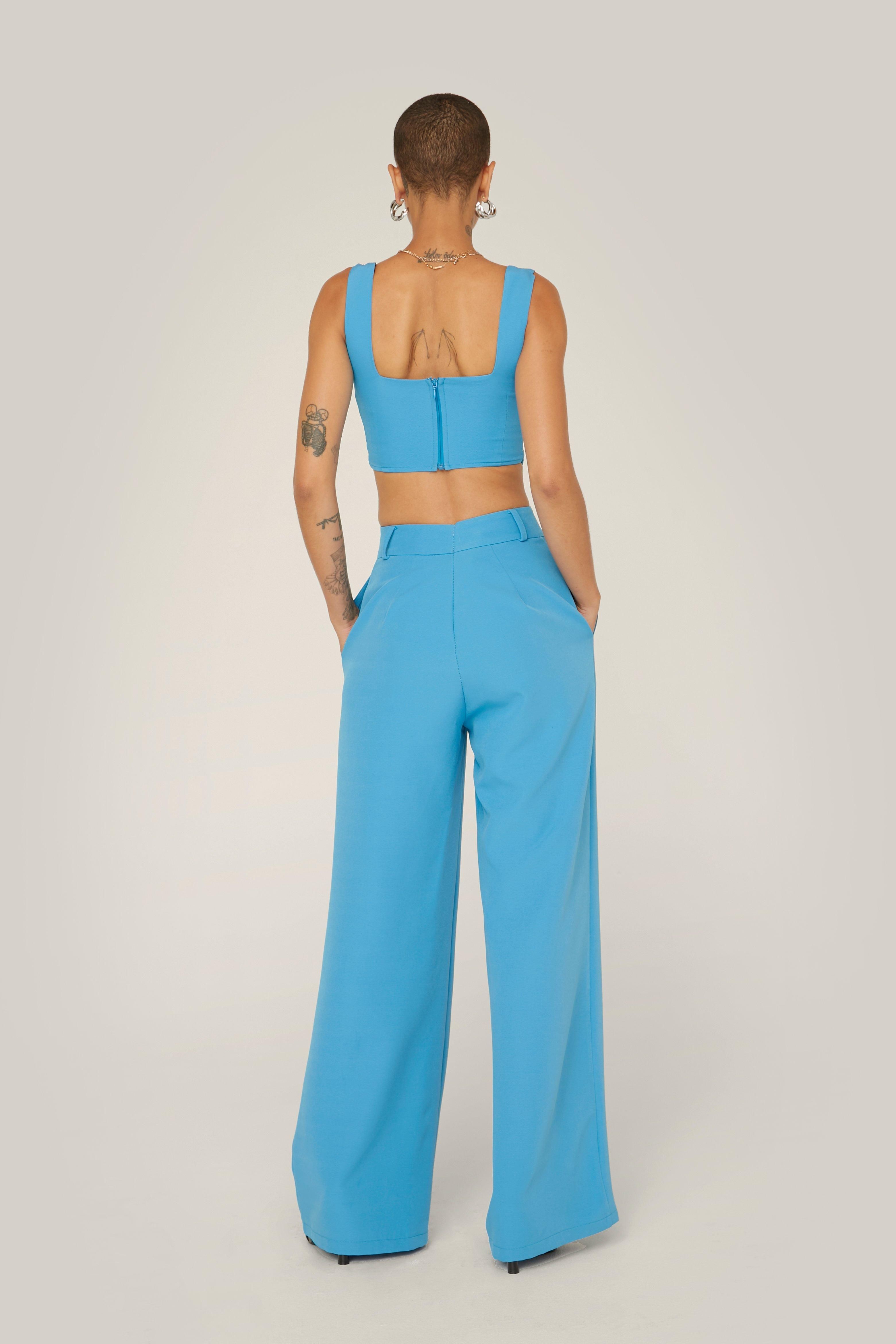 Tailored Pleat Front Wide Leg Suit Pants | Nasty Gal (US)