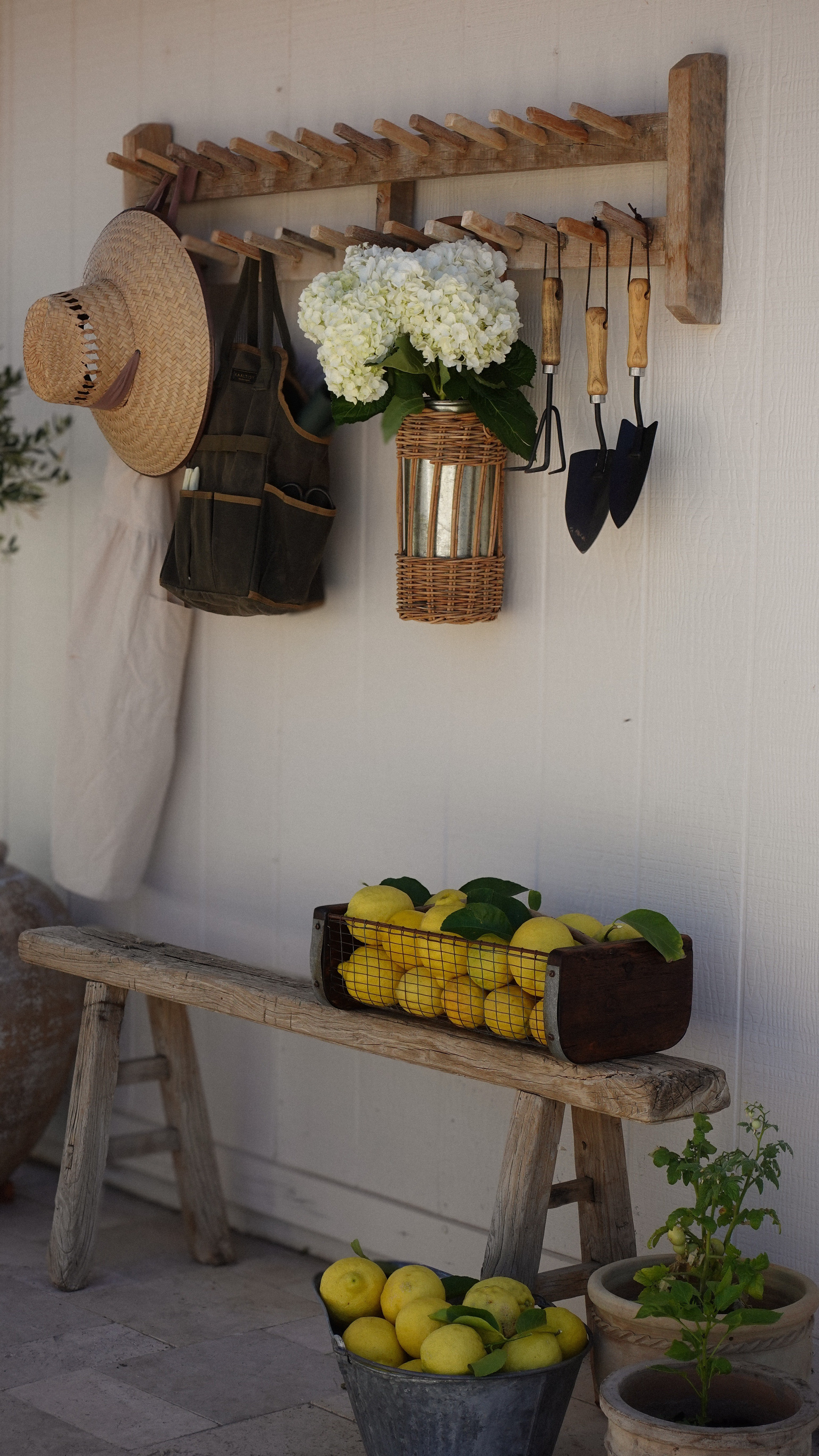Outdoor Finds 👩‍🌾

#LTKSeasonal #LTKHome